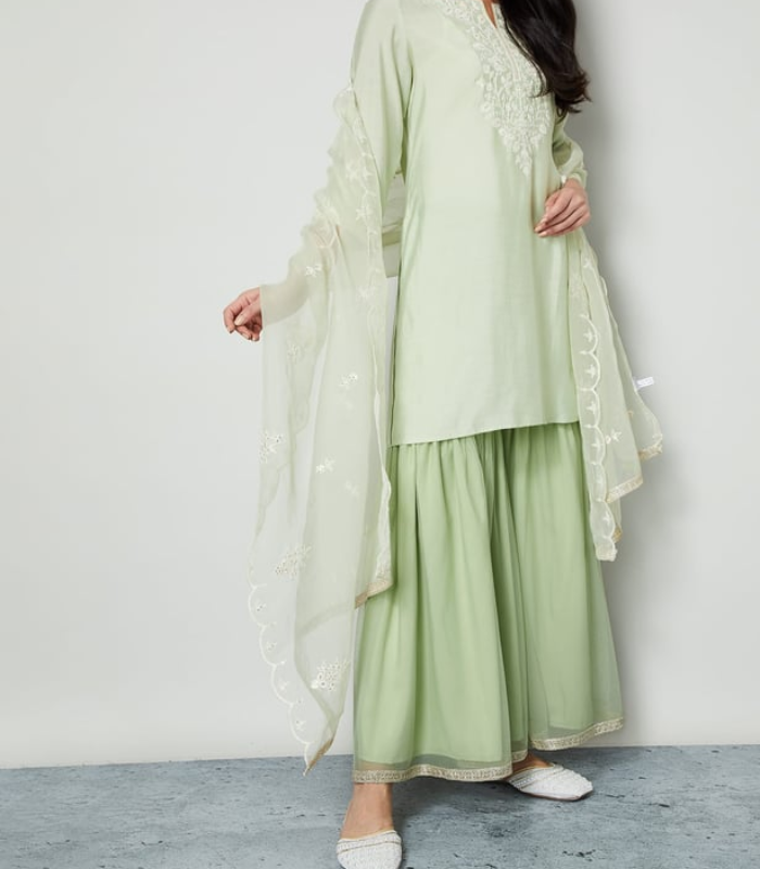 Imrozia Noor-e-Naaz MELANGE Mesh Sharara Pants - Image 1